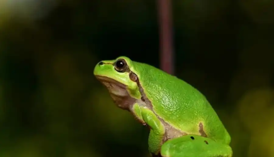 مدار الساعة,أخبار خفيفة ومنوعة,الذكاء الاصطناعي