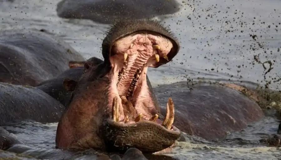 مدار الساعة,أخبار خفيفة ومنوعة