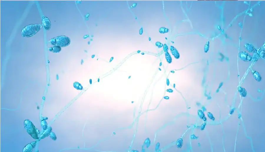 مدار الساعة,أخبار التكنولوجيا، التقنيات