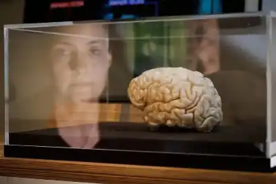 هل شعرت من قبل بأن دماغك