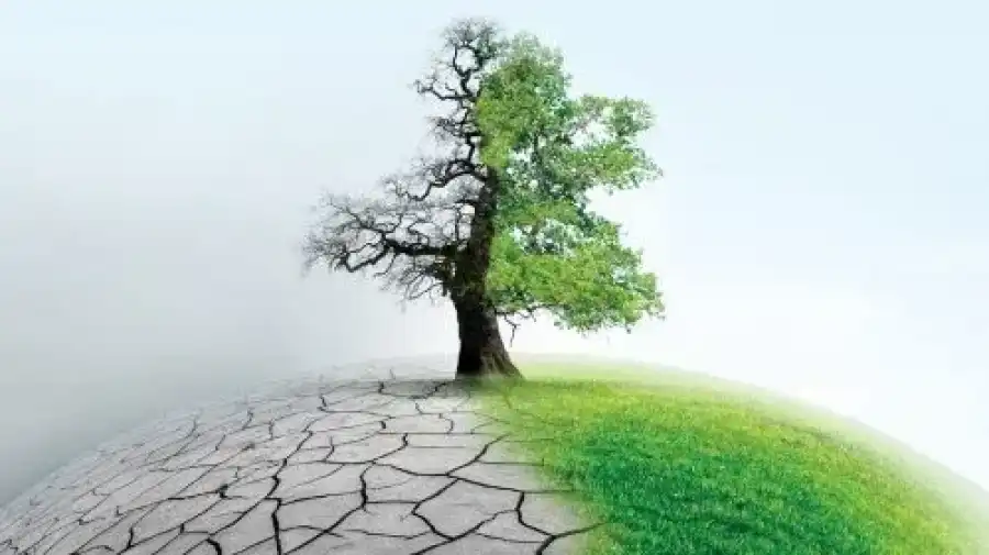 مدار الساعة,أخبار الأردن,اخبار الاردن,وكالة الأنباء الأردنية,وزارة البيئة,سيادة القانون,التنمية المستدامة