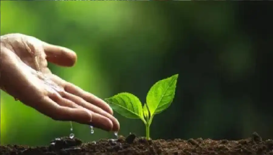 مدار الساعة,شؤون دينية