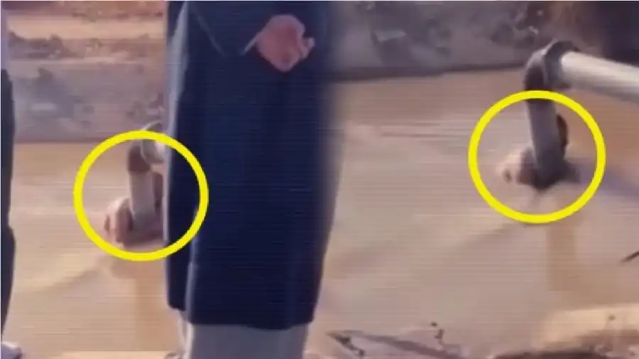 مدار الساعة,أخبار الصحة والأسرة