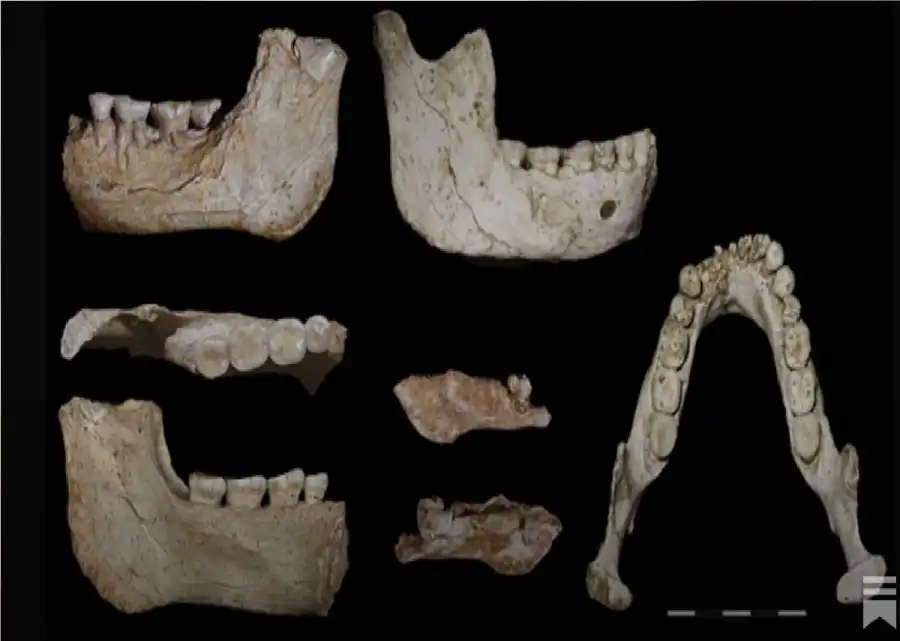 مدار الساعة,أخبار خفيفة ومنوعة