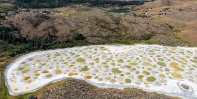 البحيرة المنقطة في كندا.. مفارش ملحية