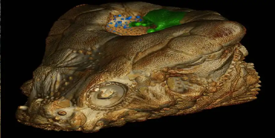 مدار الساعة,أخبار خفيفة ومنوعة