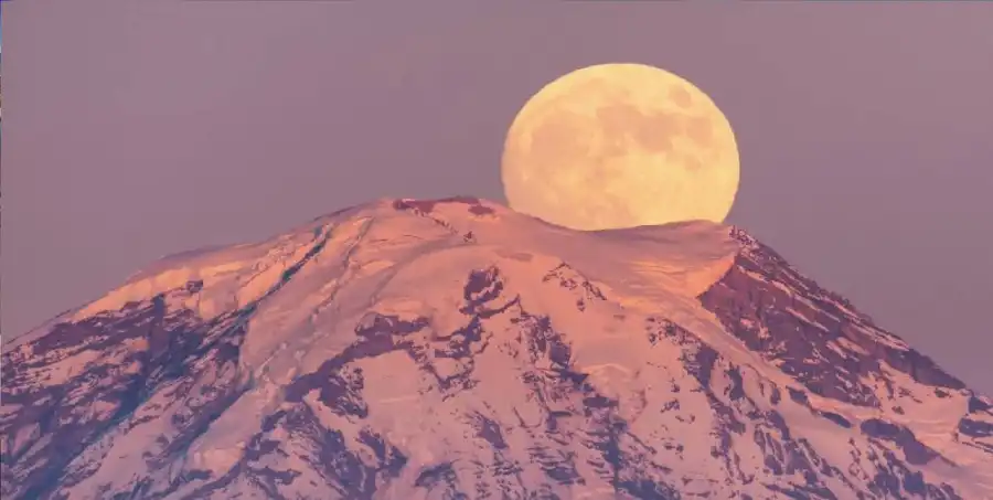 مدار الساعة,أخبار خفيفة ومنوعة