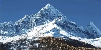 بعد شهور من الغياب.. الذكاء الاصطناعي