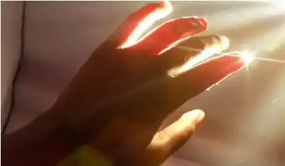 كشف علمي مذهل.. جميع الكائنات الحية