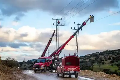 الشوابكة تكتب: نشامى الميدان في شركة