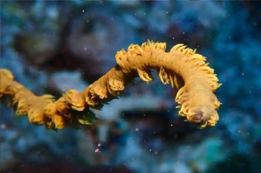 مدار الساعة,أخبار خفيفة ومنوعة