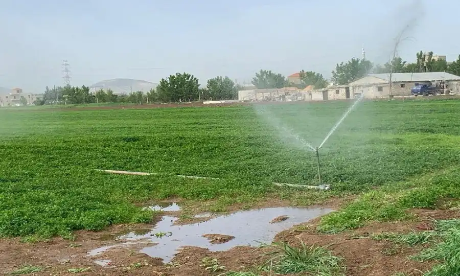 مدار الساعة,أخبار الأردن,اخبار الاردن,سلطة وادي الأردن,وادي الأردن,درجات الحرارة