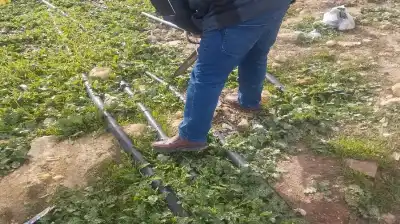 ضبط اعتداءات على خطوط مياه ناقلة