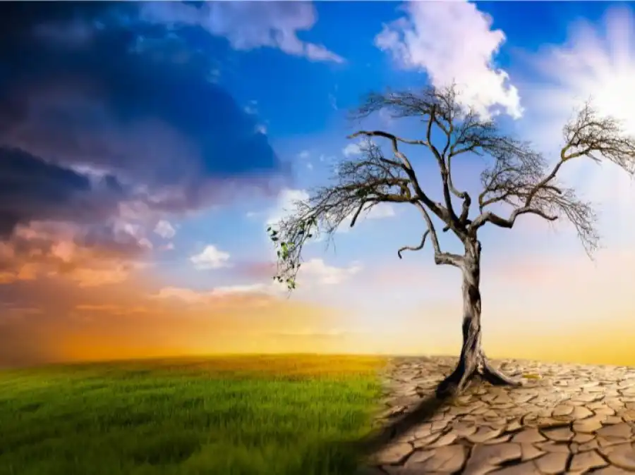 مدار الساعة,أخبار الأردن,اخبار الاردن,وزارة المياه والري,وزارة الزراعة,وكالة الأنباء الأردنية,وزارة المياه,وزارة البيئة,الأمم المتحدة