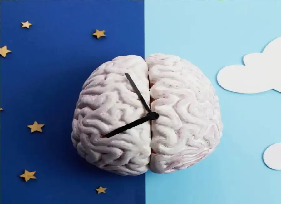 مدار الساعة,أخبار الصحة والأسرة