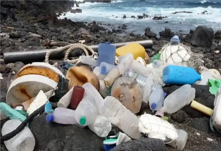 مدار الساعة,أخبار الصحة والأسرة