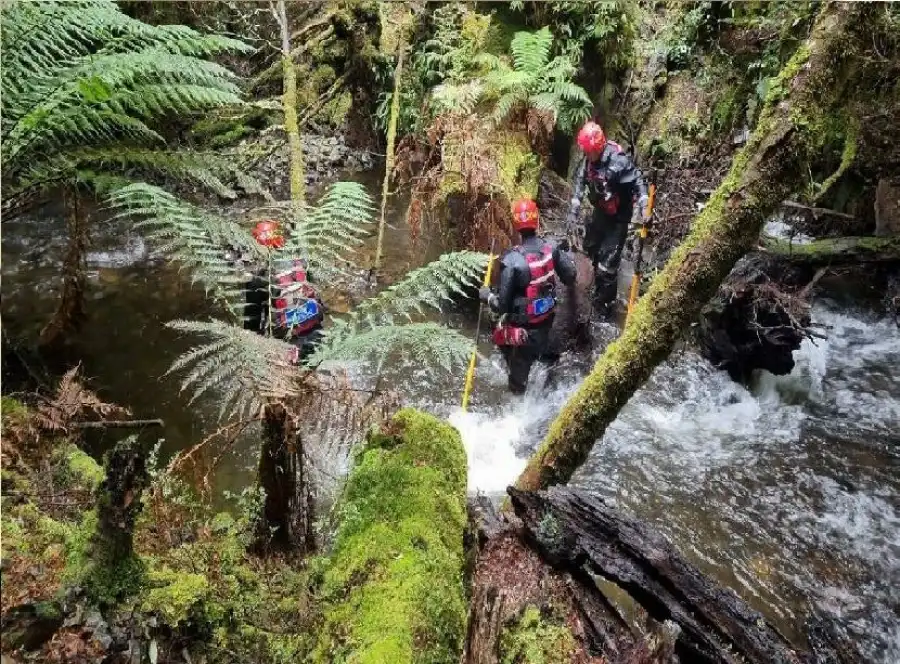 مدار الساعة,أخبار خفيفة ومنوعة