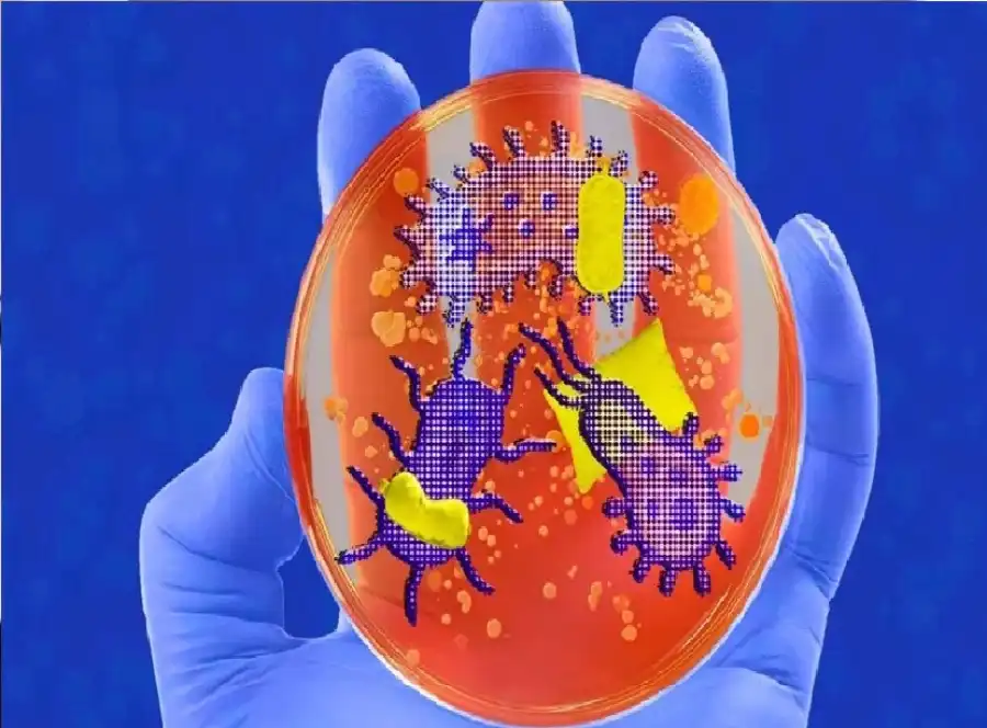 مدار الساعة,أخبار الصحة والأسرة