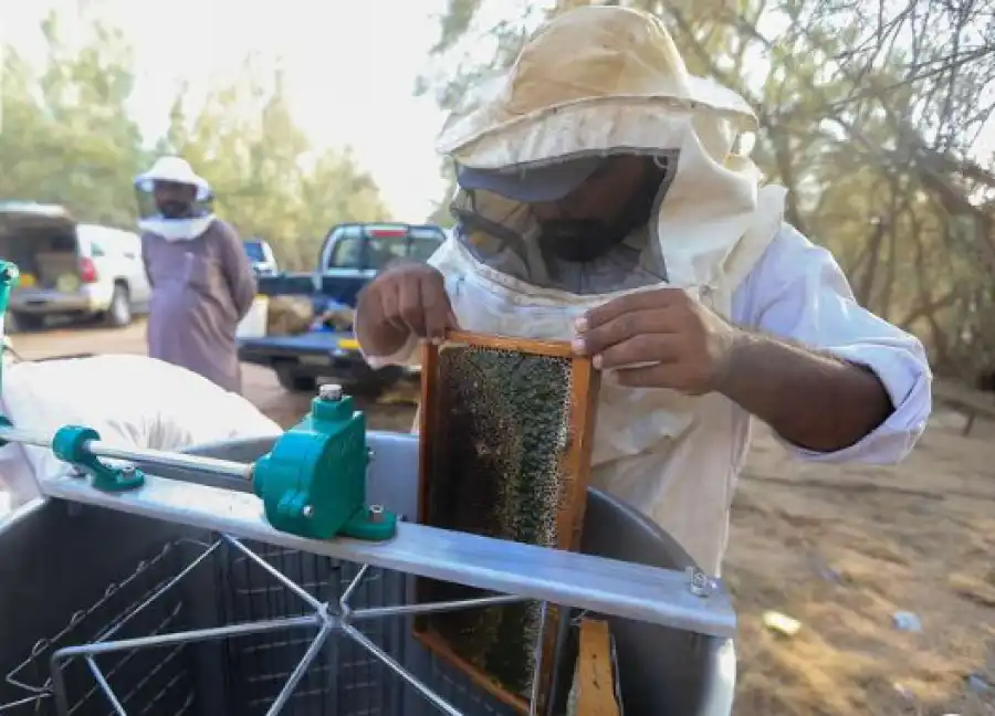 مدار الساعة,أخبار الأردن,اخبار الاردن,وزيرة النقل,وزارة الصناعة والتجارة,الاتحاد الأوروبي,وزارة الصناعة,وادي الأردن,التنمية المستدامة