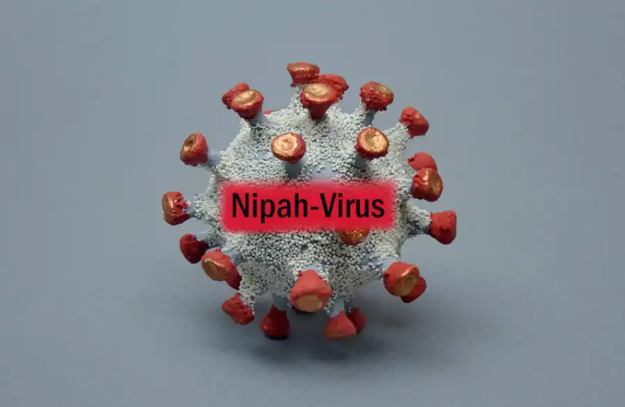 مدار الساعة,أخبار الصحة والأسرة,منظمة الصحة العالمية