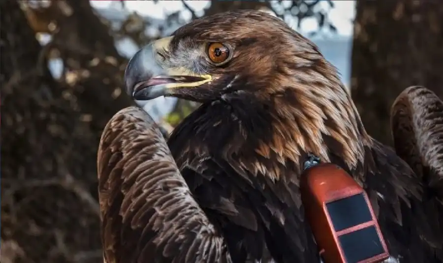 مدار الساعة,أخبار خفيفة ومنوعة