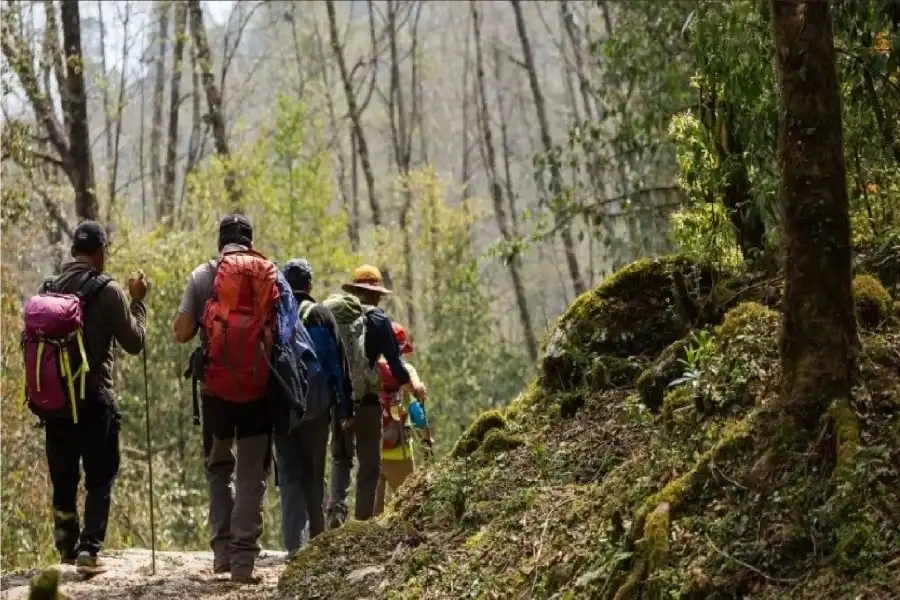 مدار الساعة,أخبار التكنولوجيا، التقنيات,الذكاء الاصطناعي