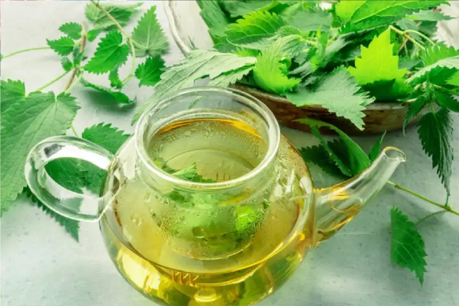 مدار الساعة,أخبار الصحة والأسرة