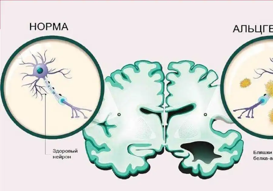 مدار الساعة,أخبار الصحة والأسرة