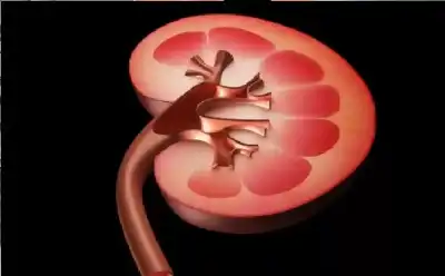 خبراء يحذرون من هوس البروتين.. خطر