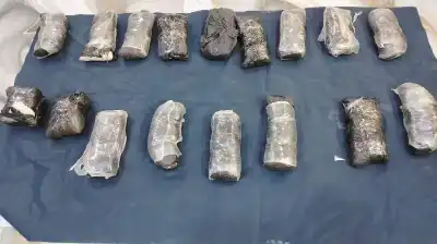 الجيش: أسقطناها داخل الأراضي الأردنية (صور)