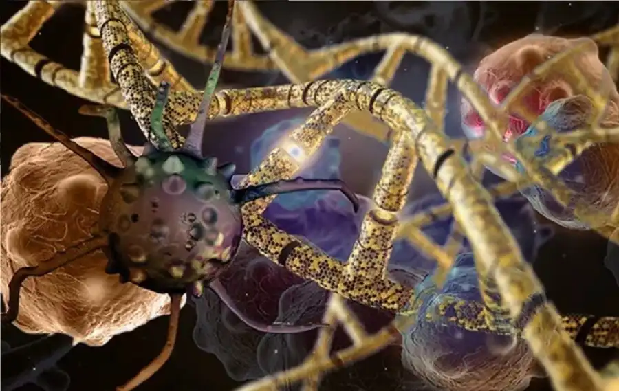 مدار الساعة,أخبار خفيفة ومنوعة