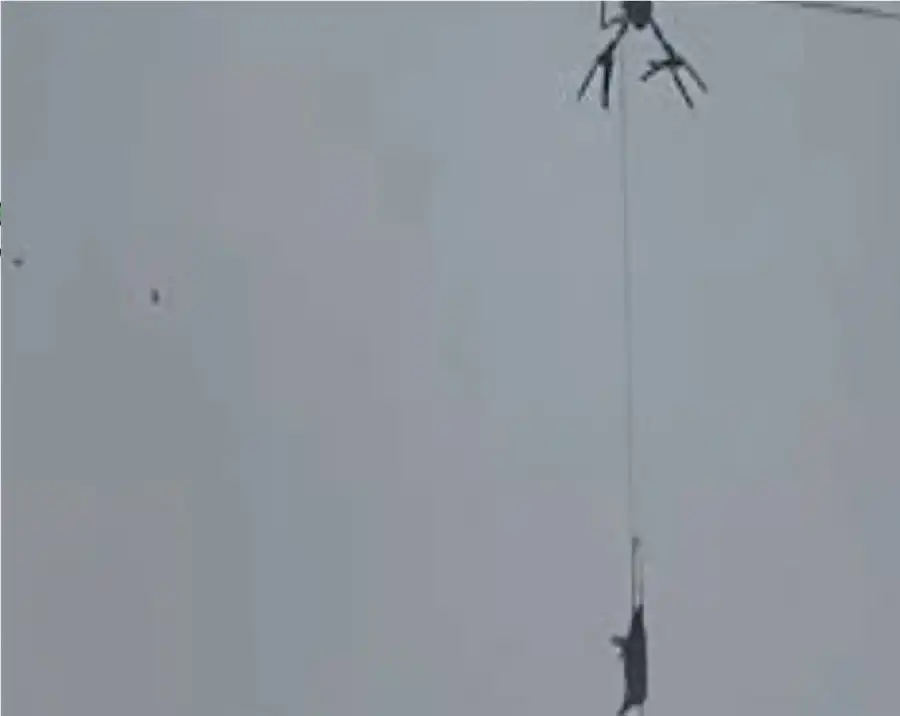 مدار الساعة,أخبار خفيفة ومنوعة,الأمن العام