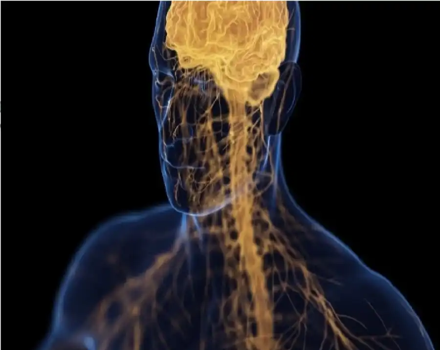 مدار الساعة,أخبار الصحة والأسرة