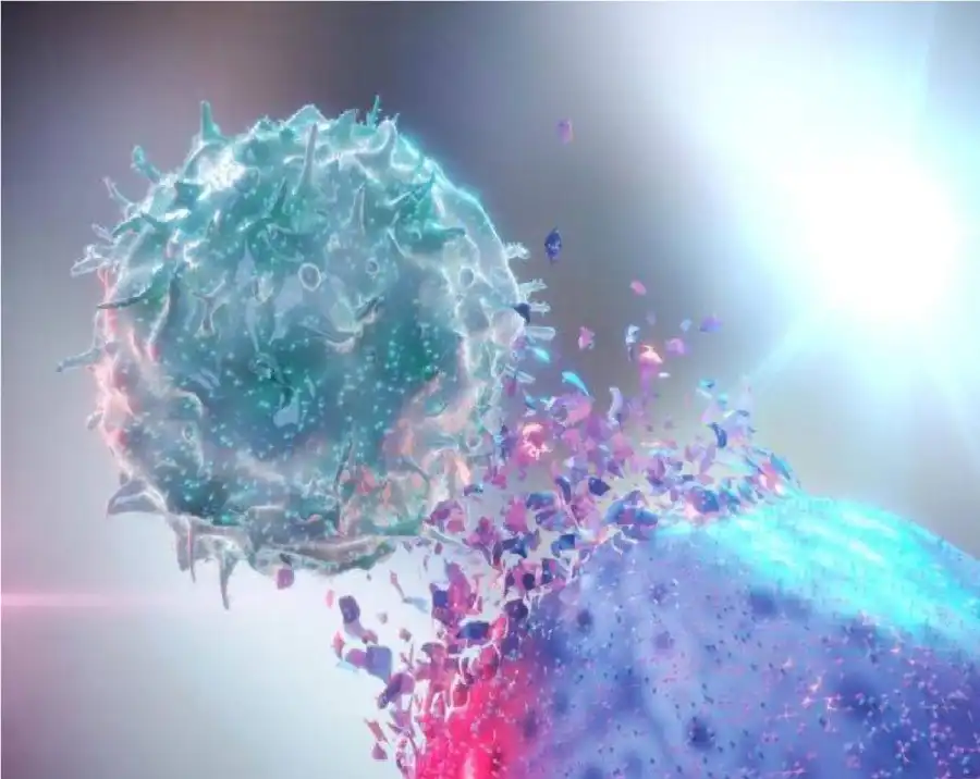 مدار الساعة,أخبار الصحة والأسرة