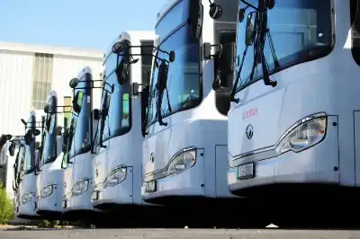 اللوزي: 307 حافلات تدير خدمة النقل