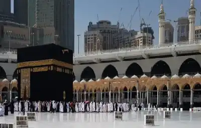 ابن تيمية وموقف الفقه من سفر