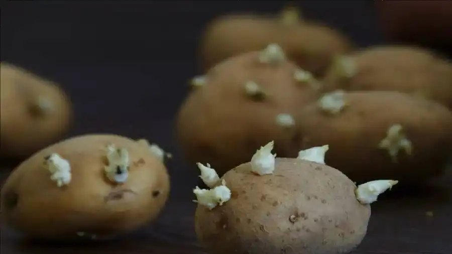 مدار الساعة,أخبار الصحة والأسرة,حماية الأسرة