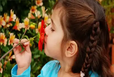 جامعة سيتشينوف تبتكر نظاما آليا لاستعادة