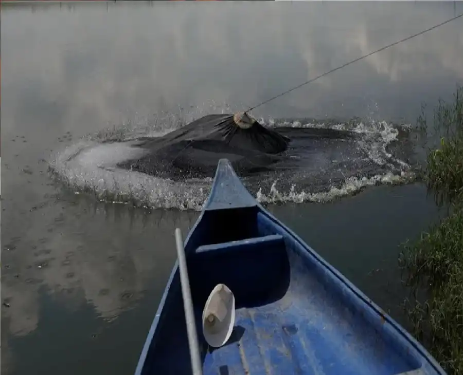 مدار الساعة,أخبار خفيفة ومنوعة