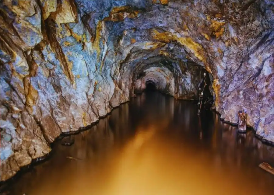 مدار الساعة,أخبار الصحة والأسرة