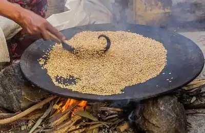 رغم قلة شهرته.. غذاء خارق غني