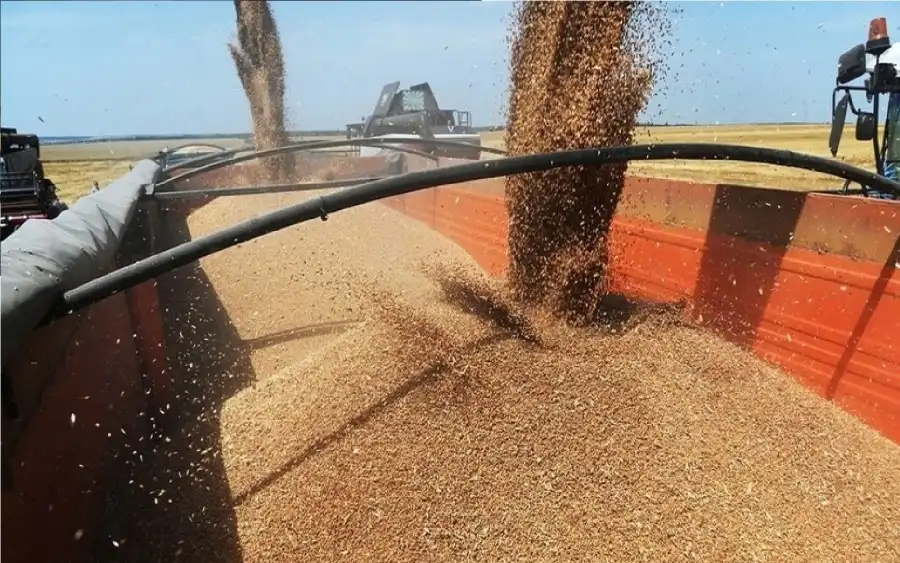 مدار الساعة,أخبار الصحة والأسرة