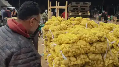 بلدية إربد: إتلاف 7 اطنان من