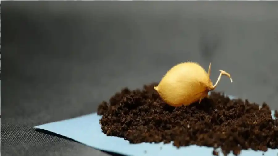 مدار الساعة,أخبار التكنولوجيا، التقنيات