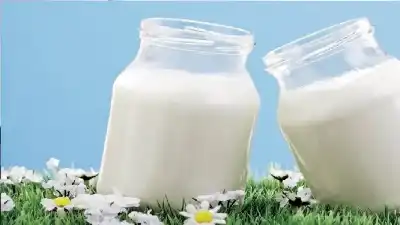 سر العظام القوية.. دراسة تكشف فوائد