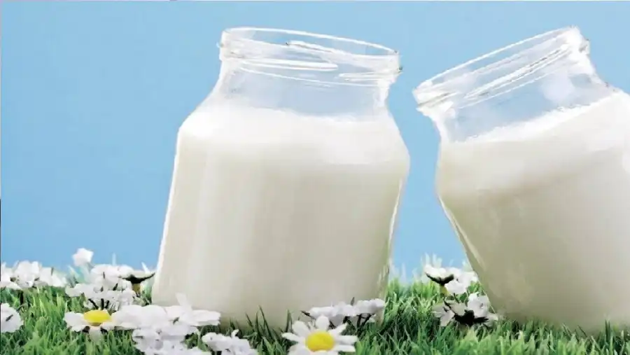 مدار الساعة,أخبار الصحة والأسرة