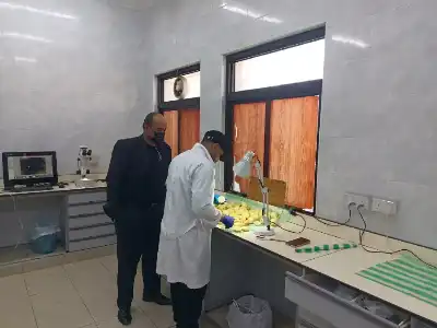 زراعة العقبة: فحص 452 شحنة خضار