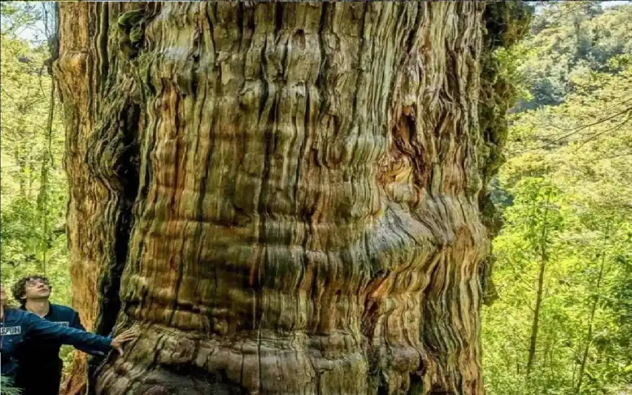 مدار الساعة,أخبار خفيفة ومنوعة,وسائل التواصل الاجتماعي