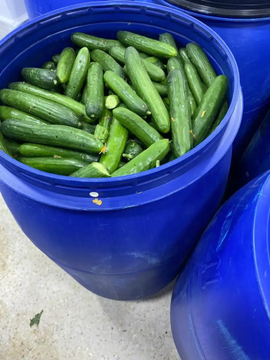 مدار الساعة,أخبار الأردن,اخبار الاردن,المؤسسة العامة للغذاء والدواء