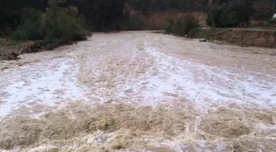 مدار الساعة,أخبار الأردن,اخبار الاردن,مديرية الأمن العام,الأمن العام